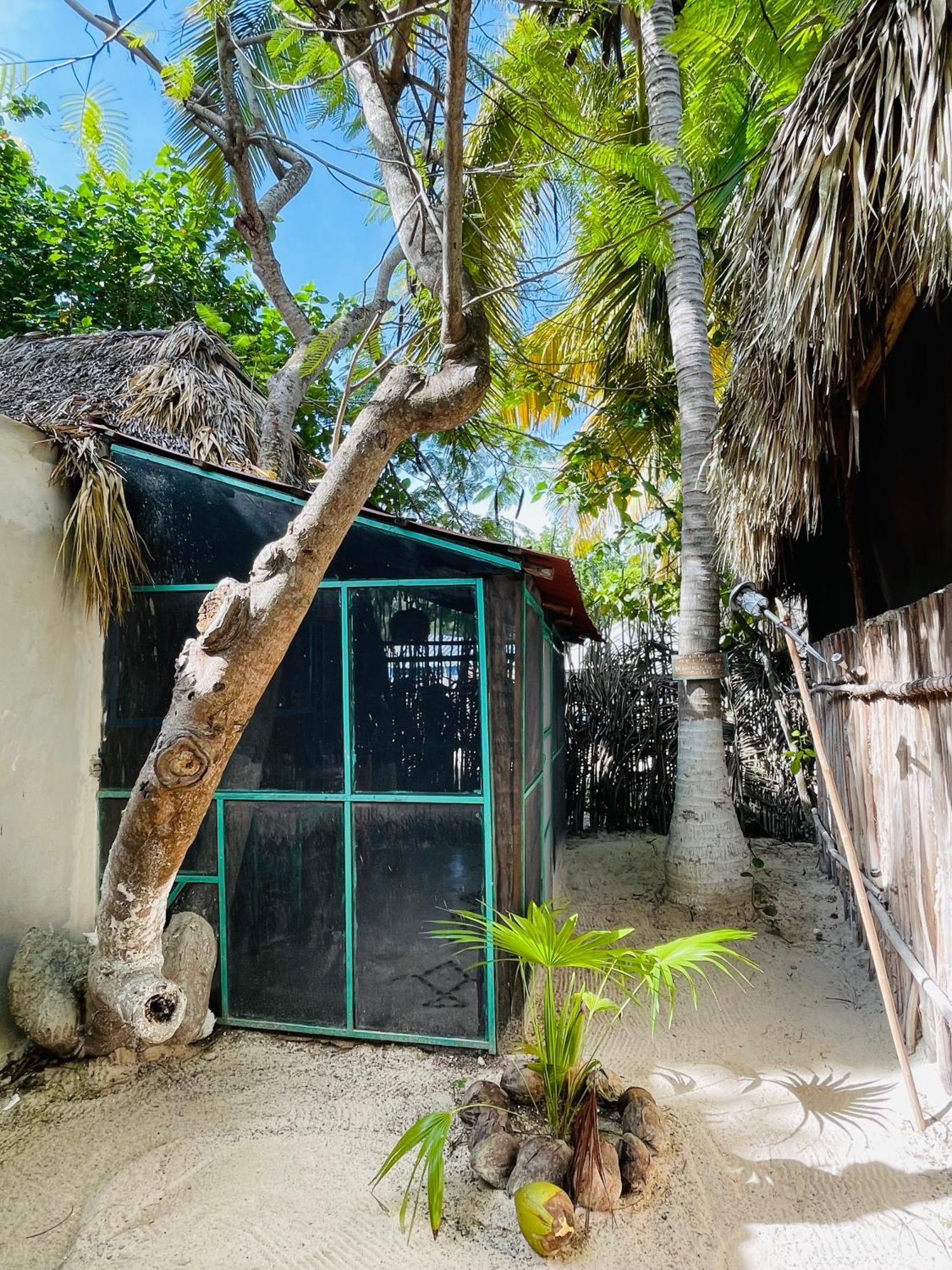 Casa Jade Ecobungalows Las Coloradas Yuluc Номер фото